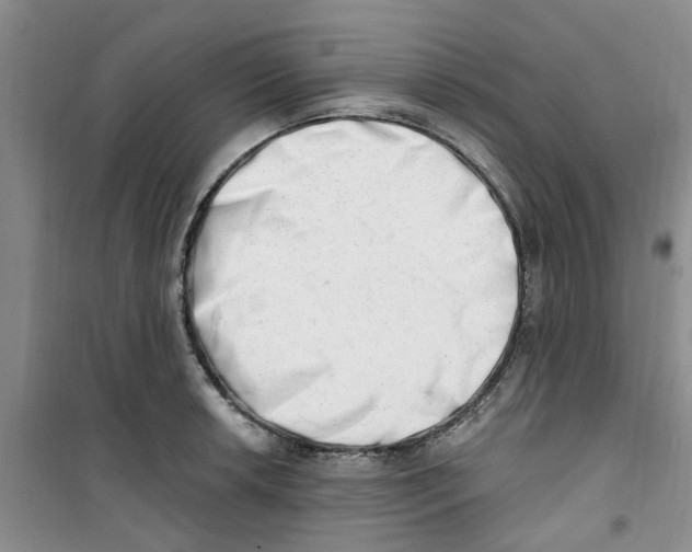 X0000100961042200807221140