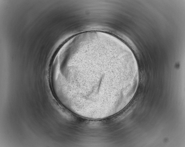 X0000100961043200807221140