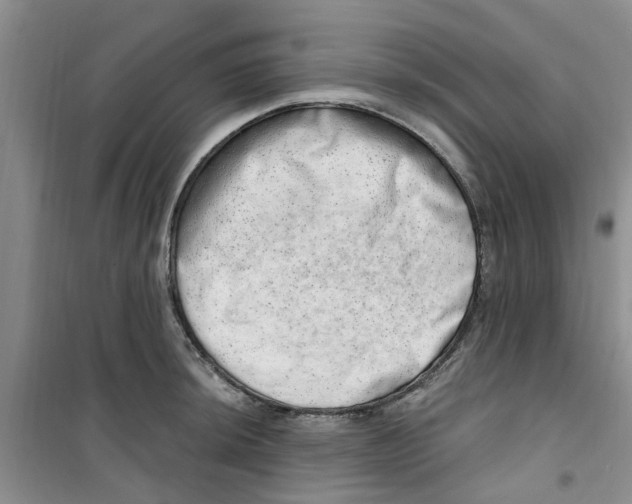 X0000100961044200807221140