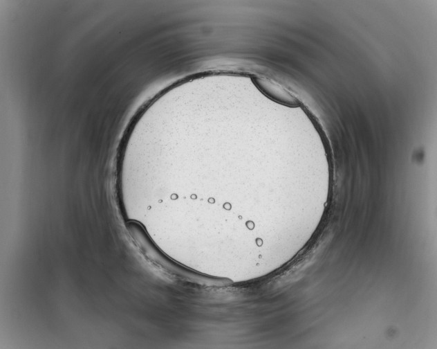 X0000100961045200807221140