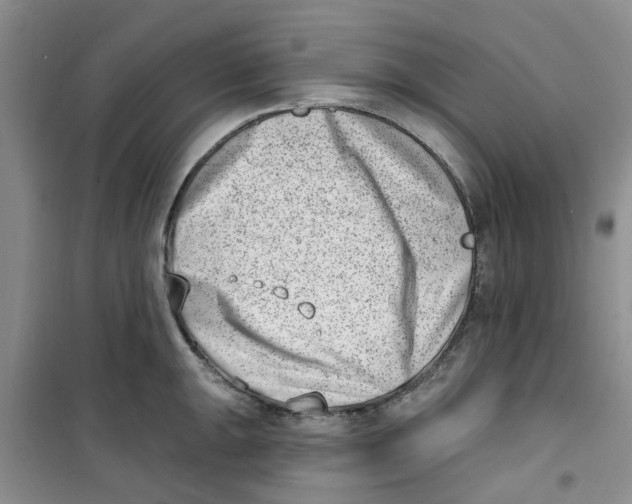 X0000100961047200807221140