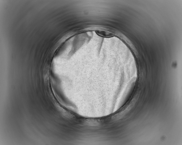 X0000100961049200807221140