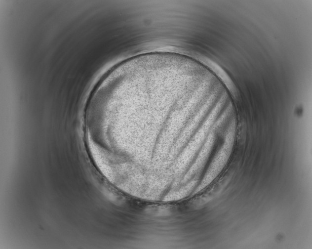 X0000100961051200807221140