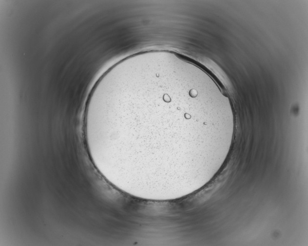 X0000100961052200807221140