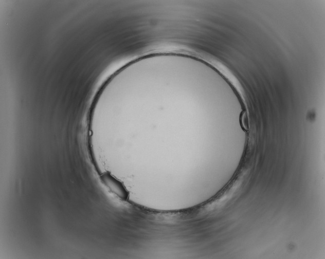 X0000100961053200807221140