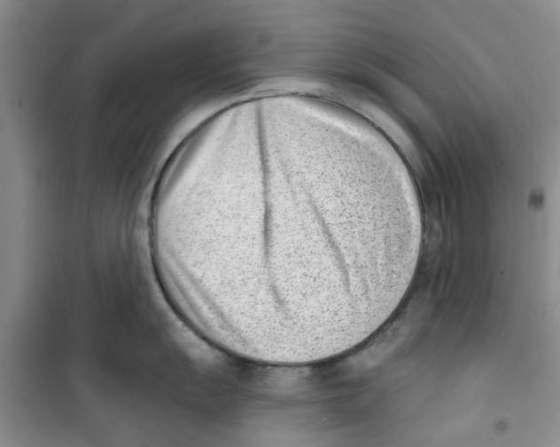 X0000100961055200807221140