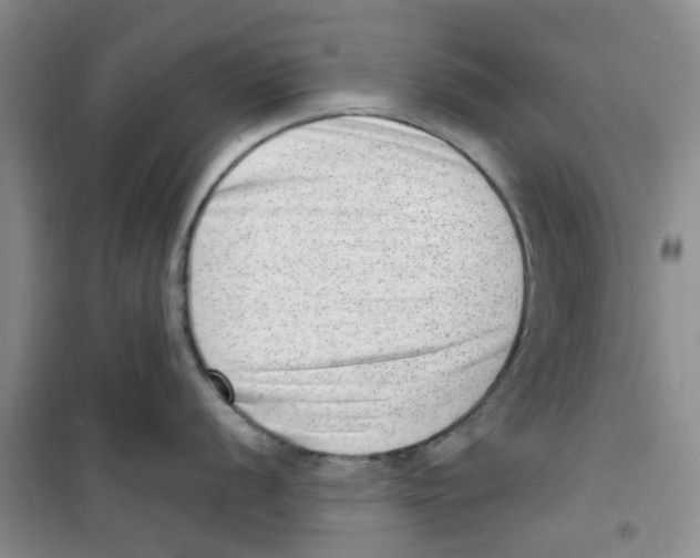 X0000100961056200807221140