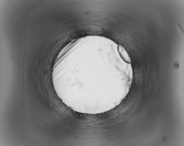 X0000100961057200807221140