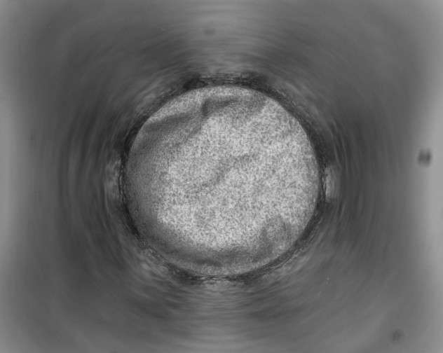 X0000100961059200807221140