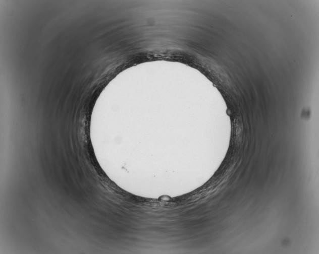 X0000100961060200807221139