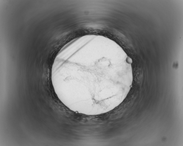 X0000100961061200807221139