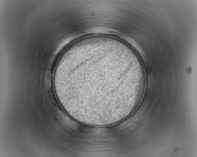 X0000100961067200807221139