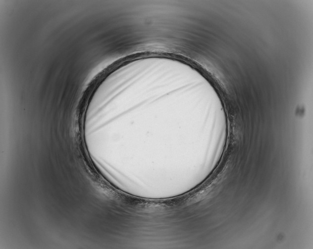 X0000100961070200807221139