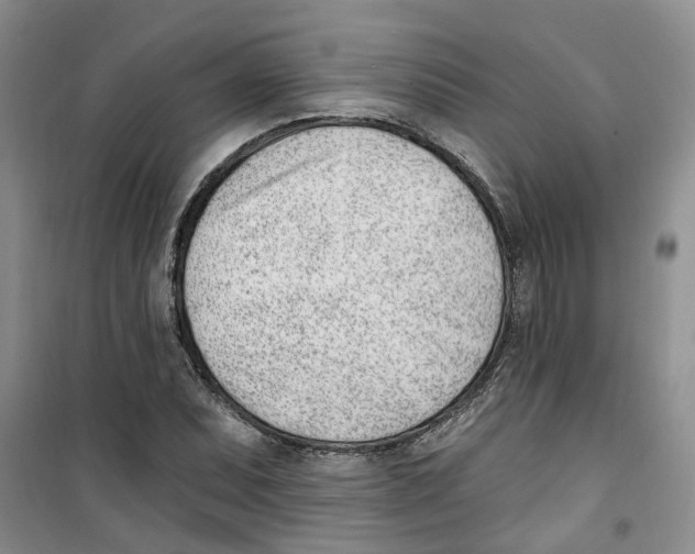 X0000100961071200807221139