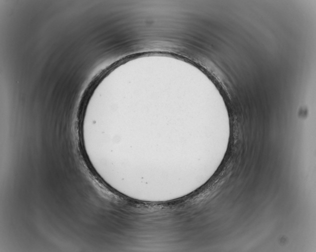 X0000100961072200807221139