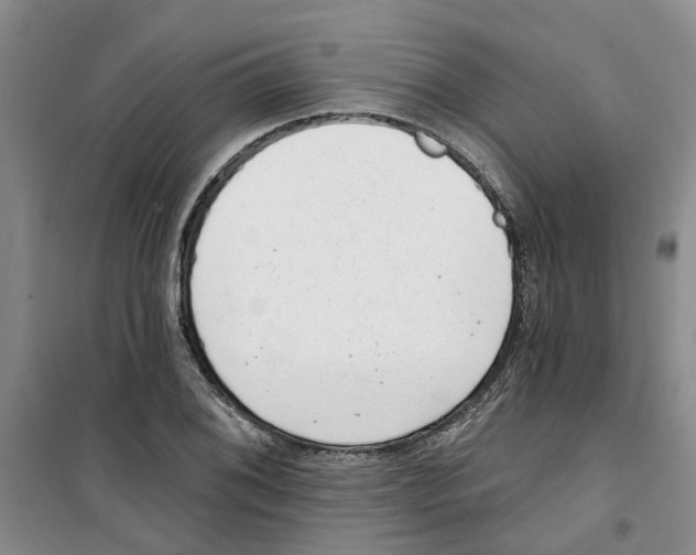 X0000100961076200807221139