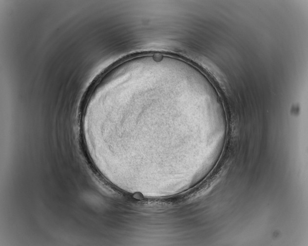 X0000100961077200807221139