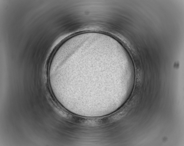 X0000100961078200807221139