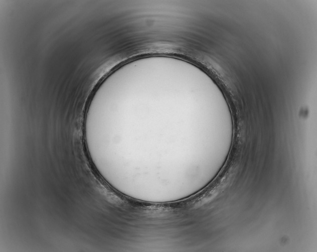 X0000100961081200807221139