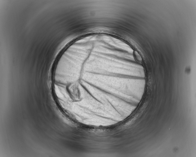 X0000100961082200807221139