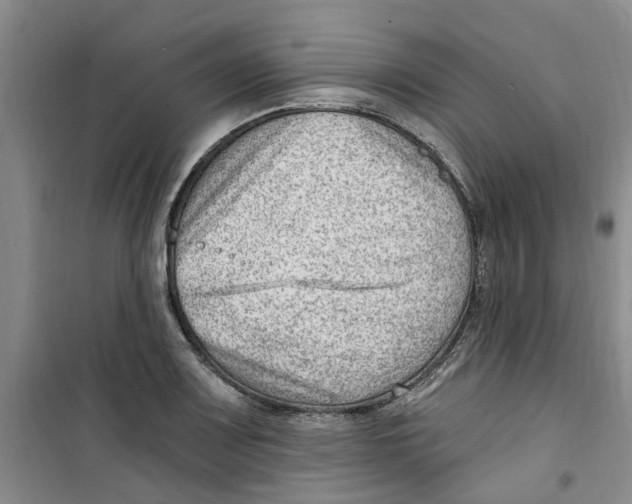 X0000100961083200807221139