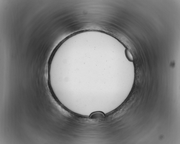 X0000100961084200807221139