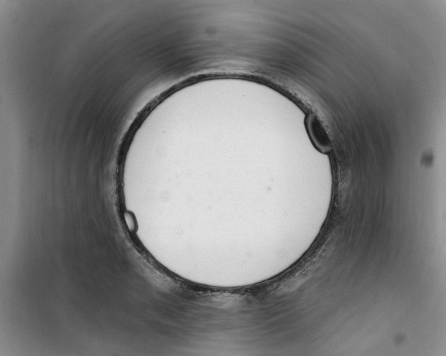 X0000100961085200807221139