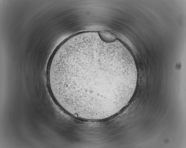 X0000100961087200807221139