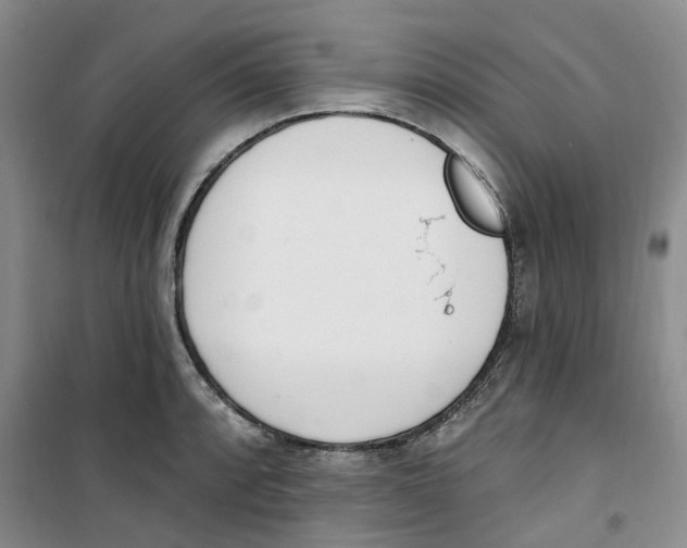 X0000100961088200807221139