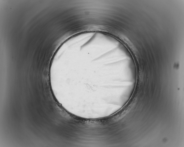 X0000100961089200807221139