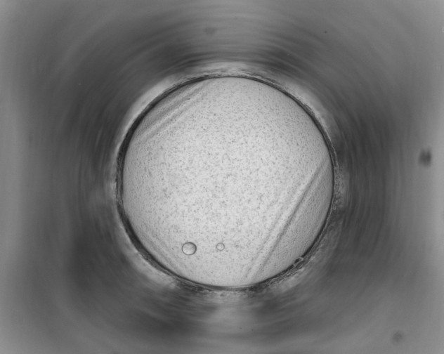 X0000100961090200807221139