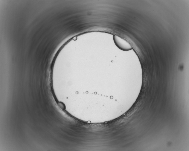 X0000100961092200807221139