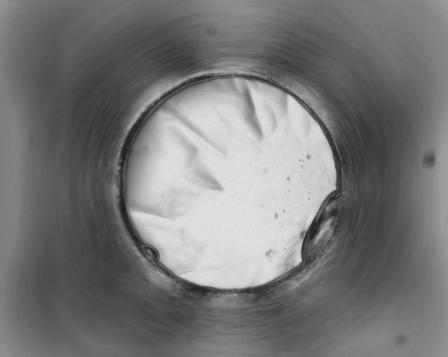 X0000100961093200807221139