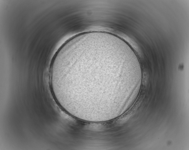 X0000100961094200807221139