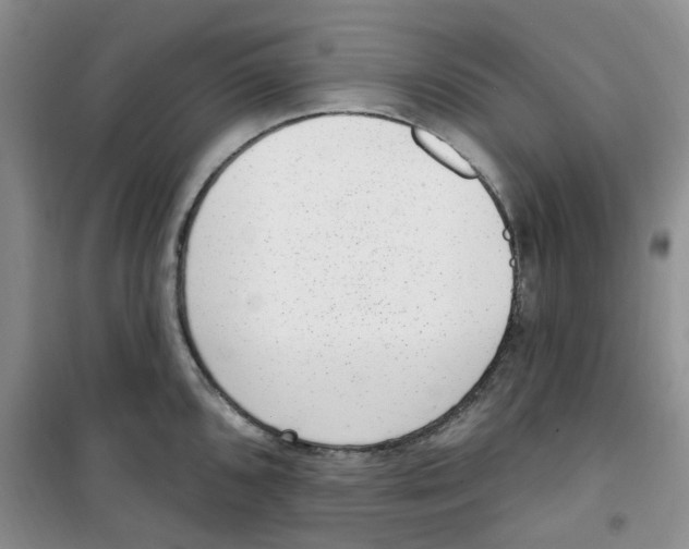 X0000100961096200807221139