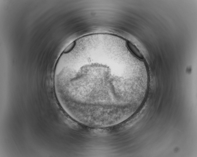 X0000100961097200807221139