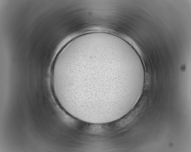 X0000100961098200807221139