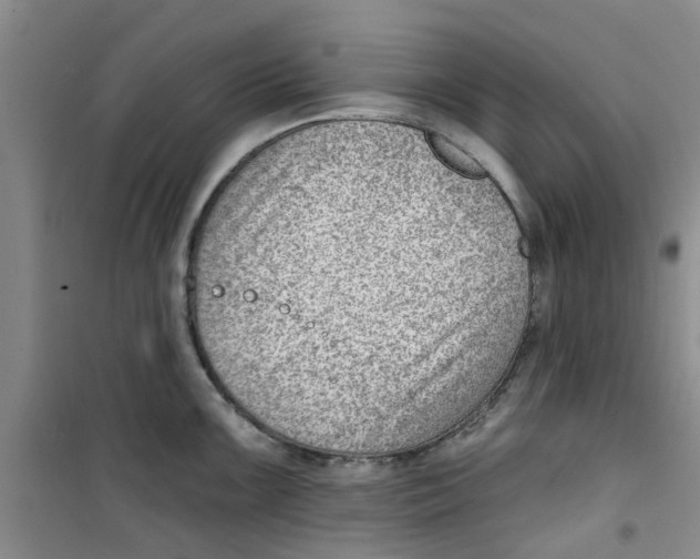 X0000100961099200807221139