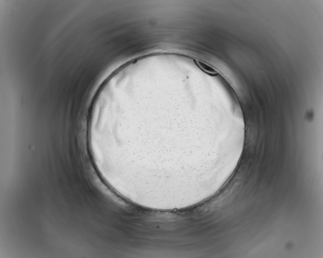 X0000100961100200807221139