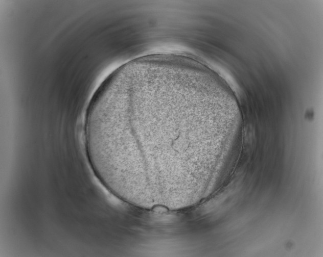 X0000100961103200807221139