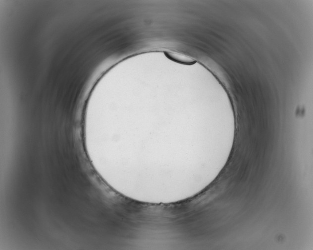 X0000100961104200807221139