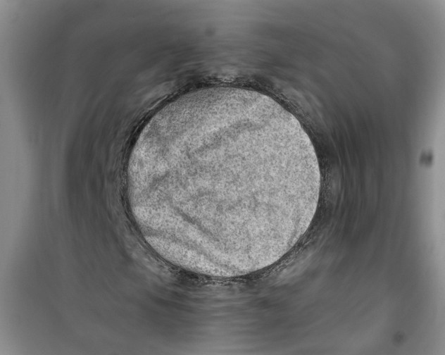 X0000100961105200807221138