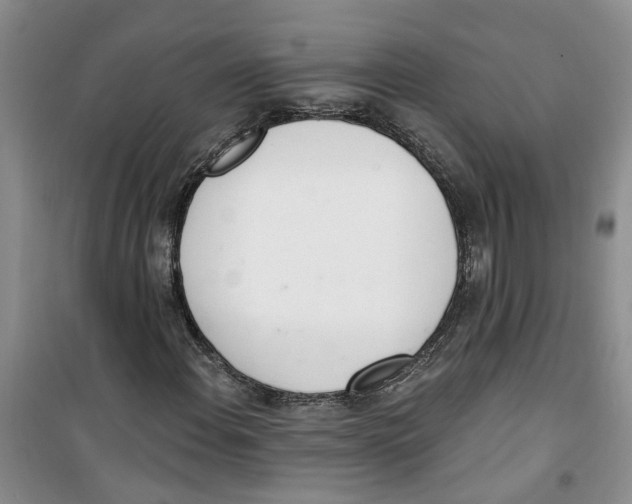 X0000100961108200807221138