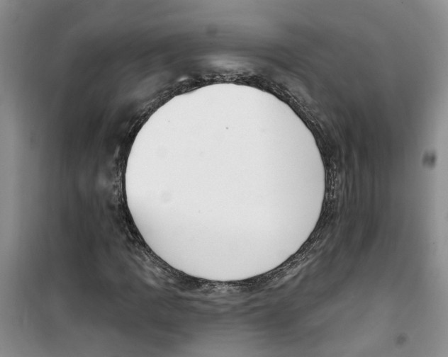 X0000100961109200807221138