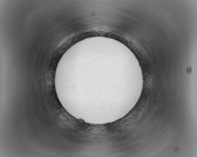 X0000100961110200807221138