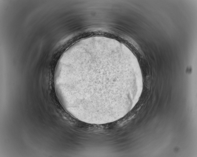 X0000100961111200807221138