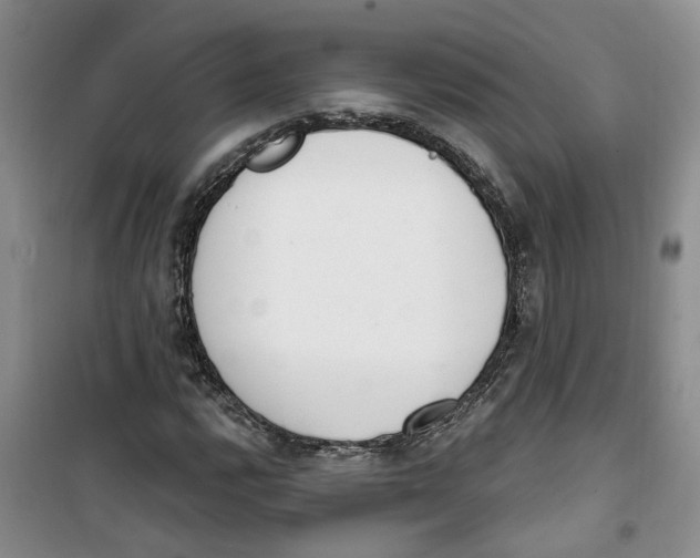 X0000100961112200807221138