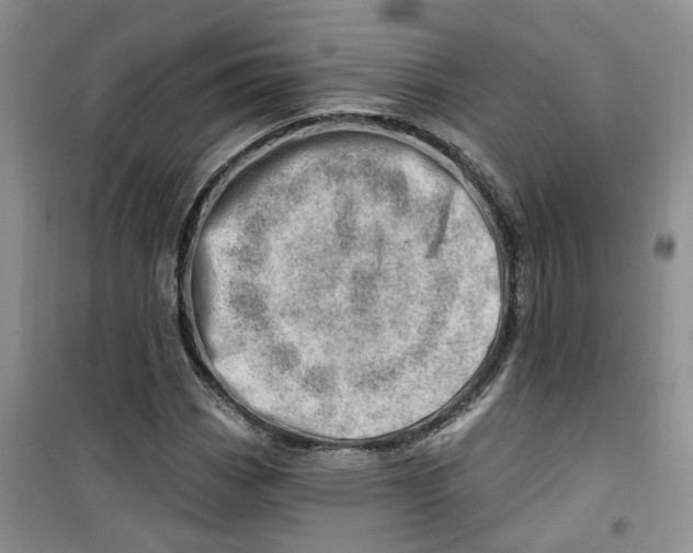 X0000100961113200807221138