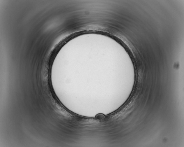 X0000100961115200807221138