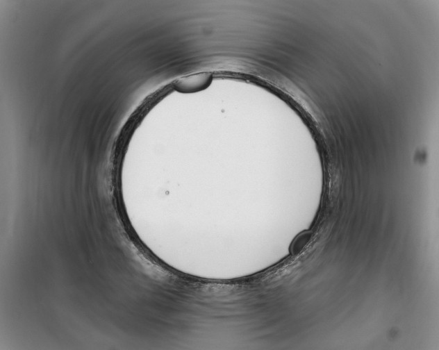 X0000100961116200807221138